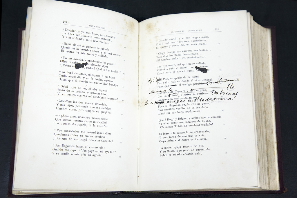 Tachaduras, correcciones y notas de Mitre sobre La Divina Comedia publicada en 1894.