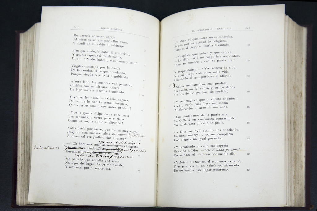Tachaduras, correcciones y notas de Mitre sobre La Divina Comedia publicada en 1894.